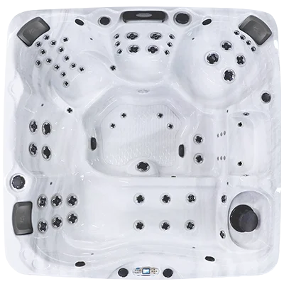 Avalon EC-867L hot tubs for sale in Lewes