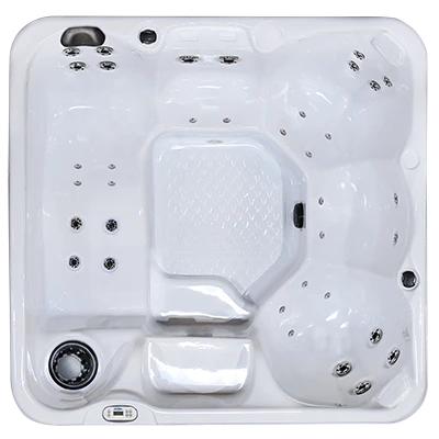 Hawaiian PZ-636L hot tubs for sale in Lewes