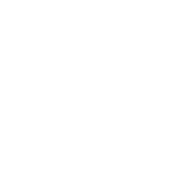 ce logo Lewes