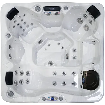 Avalon EC-849L hot tubs for sale in Lewes